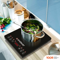 Настольная плита Endever SKYLINE IP-58 (181417)