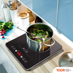 Настольная плита Endever SKYLINE IP-56 (181415)