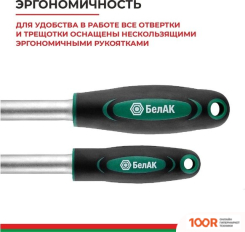 БелАК МАСТЕР БАК.07006 (82 ПРЕДМЕТА) (180763)