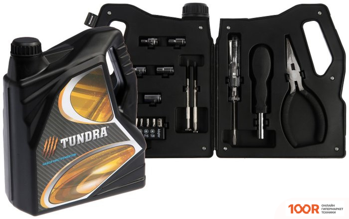 Tundra 7379045 (21 ПРЕДМЕТ) (180538)