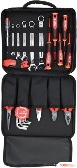 Milwaukee 4932492660 (25 ПРЕДМЕТОВ) (179842)