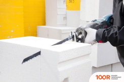 Bosch 2608650975 (2 ПРЕДМЕТА) (178644)