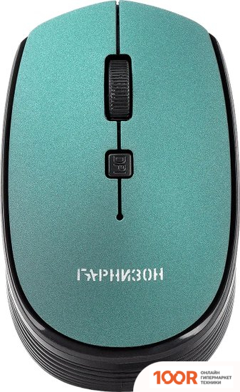 Мышь Гарнизон GMW-550-2 (177706)