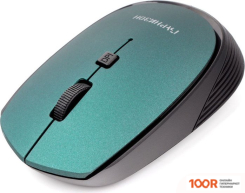 Мышь Гарнизон GMW-550-2 (177706)