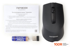 Мышь Гарнизон GMW-470 (177700)