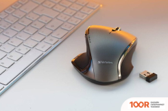 Мышь Verbatim 49041 (177565)