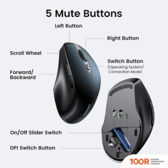 Мышь Ugreen MU101 15807 (177543)