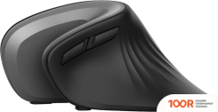 Мышь Trust VERRO ERGONOMIC WIRELESS MOUSE (177525)