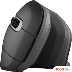 Мышь Trust VERRO ERGONOMIC WIRELESS MOUSE (177525)