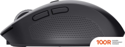 Мышь Trust OZAA COMPACT (ЧЕРНЫЙ) (177518)