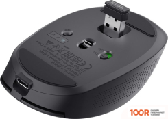 Мышь Trust OZAA COMPACT (ЧЕРНЫЙ) (177518)