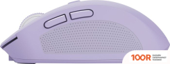 Мышь Trust OZAA COMPACT (ФИОЛЕТОВЫЙ) (177517)