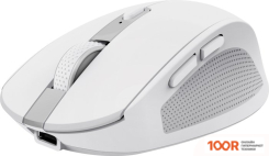 Мышь Trust OZAA COMPACT (БЕЛЫЙ) (177515)
