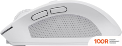 Мышь Trust OZAA COMPACT (БЕЛЫЙ) (177515)
