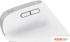 Мышь Trust BAYO+ (БЕЛЫЙ) (177497)