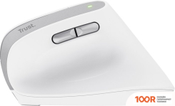 Мышь Trust BAYO II (БЕЛЫЙ) (177495)