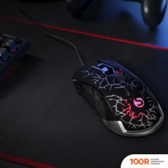 Мышь SunWind SW-M705G (177406)