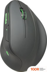 Мышь SPEEDLINK PIAVO PRO (177352)
