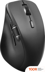 Мышь SPEEDLINK LIBERA (177348)