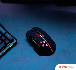 Мышь SPEEDLINK IMPERIOR (177331)