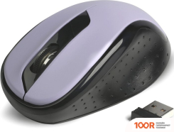 Мышь SmartBuy НИАГАРА SBM-597D-B (177287)