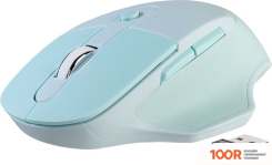 Мышь SmartBuy SBM-615AG-S (МЯТНЫЙ) (177285)