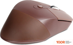 Мышь SmartBuy SBM-615AG-L (177284)