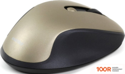 Мышь SmartBuy SBM-508AG-GD (177278)