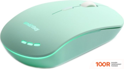 Мышь SmartBuy SBM-288-LG (177268)