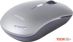 Мышь SmartBuy SBM-288-G (177266)