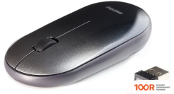 Мышь SmartBuy SBM-266AG-K (177260)