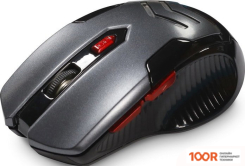 Мышь SmartBuy RUSH IRONCLAD 731AGG-SK (177231)