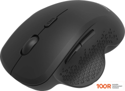 Мышь Philips SPK7624 (ЧЕРНЫЙ) (176916)
