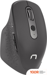 Мышь Natec FALCON (176792)