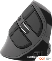 Мышь Natec EUPHONIE (176791)