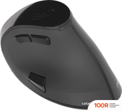 Мышь Natec EUPHONIE (176791)