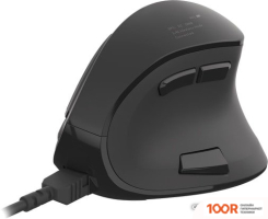 Мышь Natec EUPHONIE (176791)