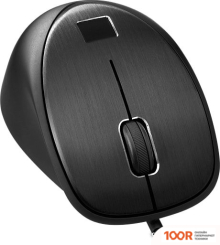 Мышь HP 4TS44AA (176230)
