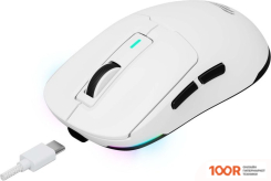 Мышь Havit MS969WB (176167)