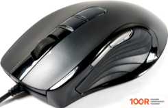 Мышь Gigabyte M6900 (176096)