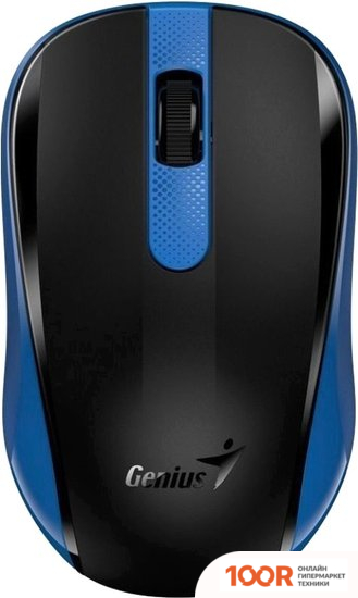 Мышь Genius NX-8008S (ЧЕРНЫЙ/СИНИЙ) (176086)