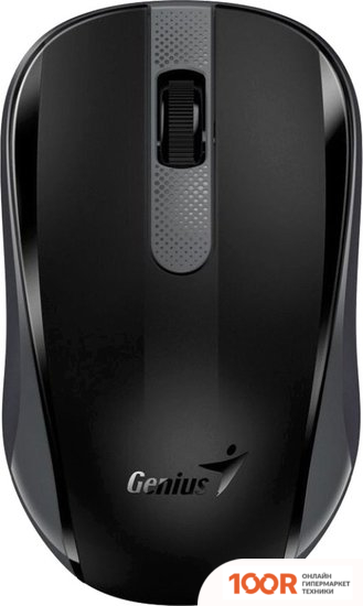 Мышь Genius NX-8008S (ЧЕРНЫЙ/СЕРЫЙ) (176085)