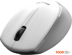 Мышь Genius NX-7009 (БЕЛЫЙ/СЕРЫЙ) (176075)