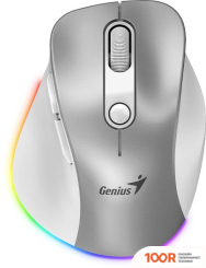 Мышь Genius ERGO 9000S PRO (СЕРЕБРИСТЫЙ) (176068)