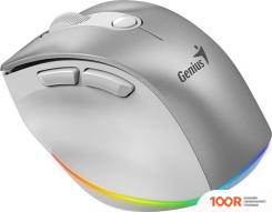 Мышь Genius ERGO 9000S PRO (СЕРЕБРИСТЫЙ) (176068)