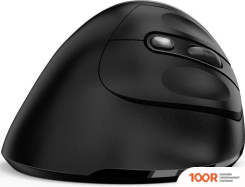 Мышь Genius ERGO 8250S (ЧЕРНЫЙ/СЕРЕБРИСТЫЙ) (176059)