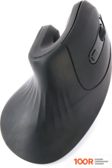 Мышь Gembird MUSW-ERGO-03 (176019)