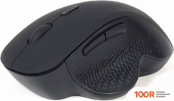 Мышь Gembird MUSW-6B-02 (176018)