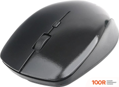 Мышь Gembird MUSW-250 (175968)