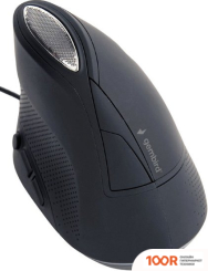 Мышь Gembird MUS-ERGO-03 (175965)